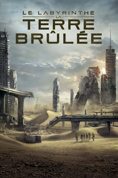 L'épreuve : La terre brûlée poster
