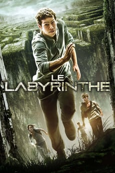 L'épreuve : Le labyrinthe poster