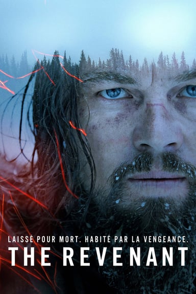 Le revenant poster
