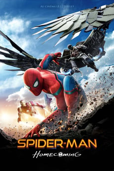 Spider-man : Les retrouvailles poster