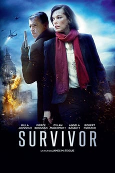 Fugitive poster