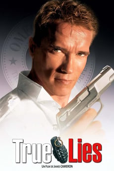 Vrai mensonge poster