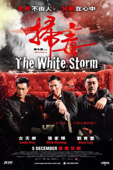 掃毒 poster