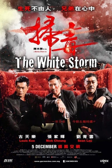 掃毒 poster