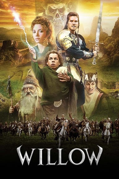 Willow poster