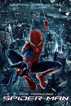 L'extraordinaire Spider-Man poster