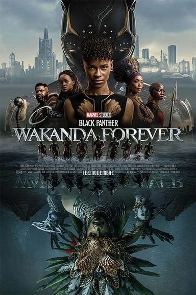 Black Panther : Longue vie au Wakanda poster