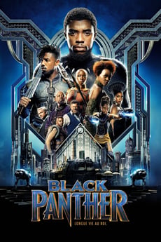 Panthère Noire poster