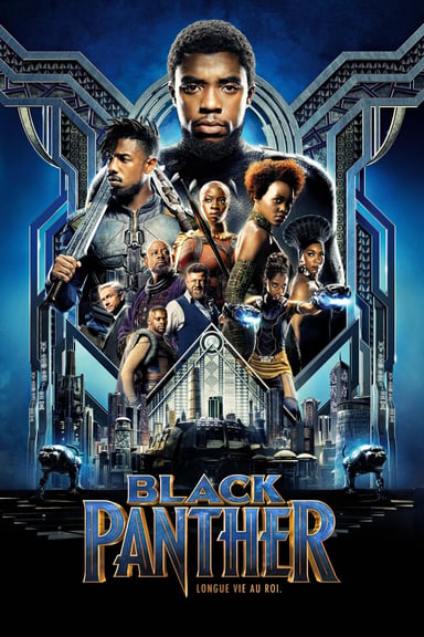 Panthère Noire poster
