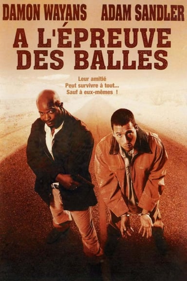 Bulletproof poster