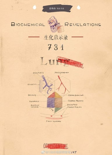731 poster
