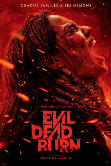Evil Dead Burn poster