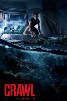 Terreur dans la tempête poster