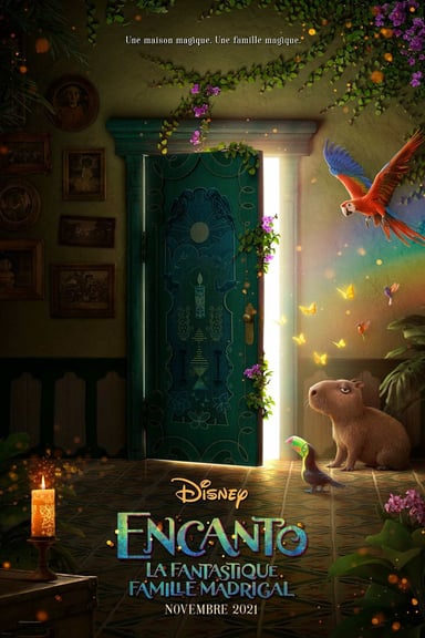 Encanto, la fantastique famille Madrigal poster
