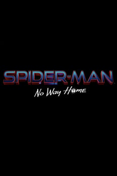 Spider-Man: Sans retour poster