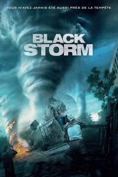 Dans la tempête poster
