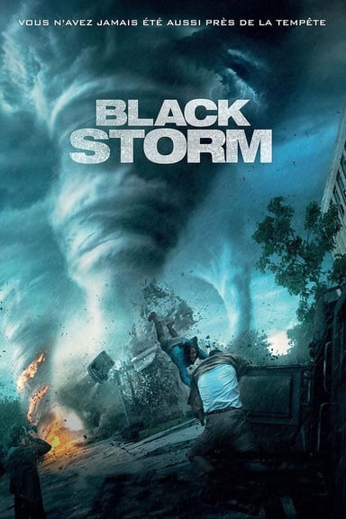 Dans la tempête poster