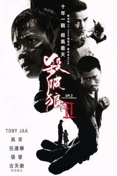 殺破狼2 poster