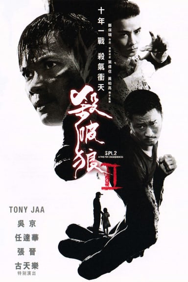 殺破狼2 poster