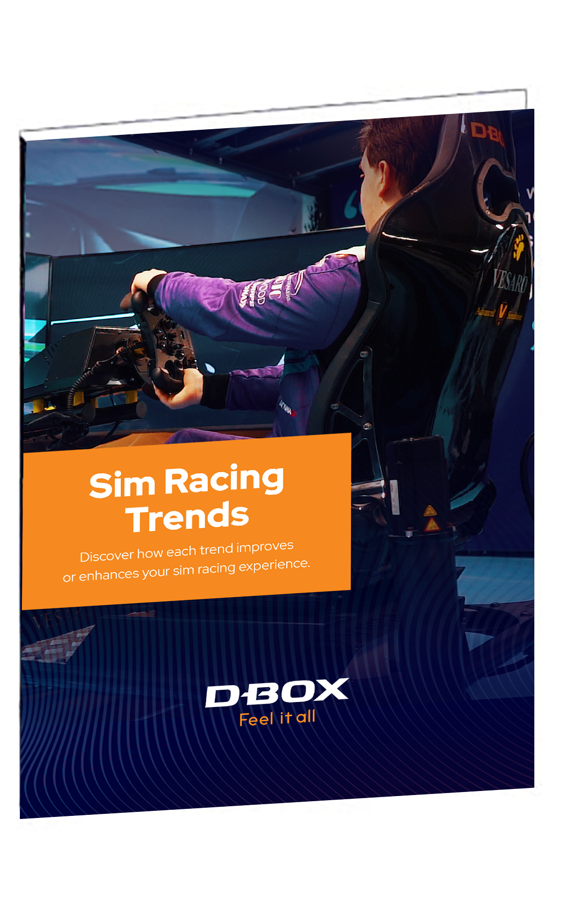 Sim_RacingTrends_GuideImage